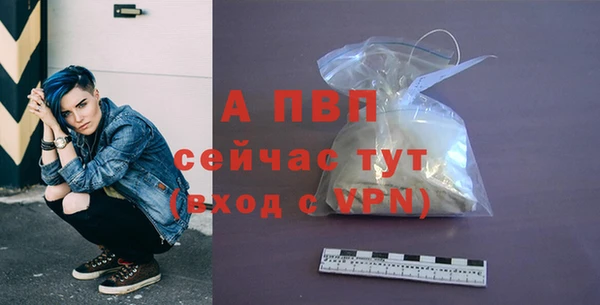 сатива Абаза