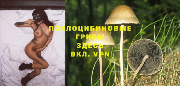 крисы Абинск