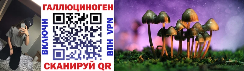Галлюциногенные грибы Psilocybine cubensis  Новосиль 
